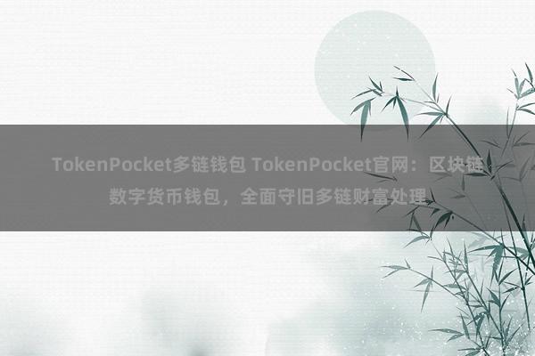 TokenPocket多链钱包 TokenPocket官网：区块链数字货币钱包，全面守旧多链财富处理